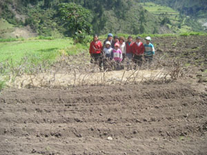 Actividades agrícolas en las escuelitas de Varaspamba y Pinipala